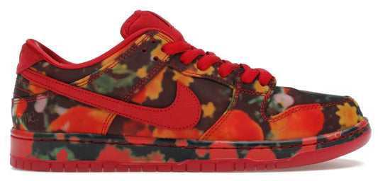 Nike SB Wizard Of Oz Poppy Field